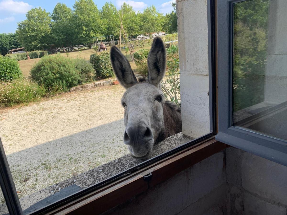 Domaine Terroceane Hotel La-Gripperie-Saint-Symphorien ภายนอก รูปภาพ