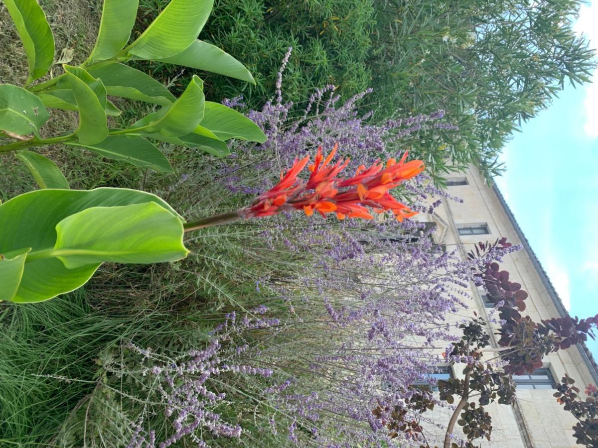 Domaine Terroceane Hotel La-Gripperie-Saint-Symphorien ภายนอก รูปภาพ