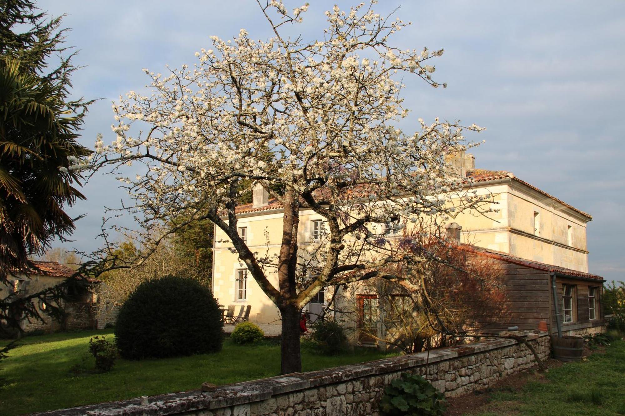 Domaine Terroceane Hotel La-Gripperie-Saint-Symphorien ภายนอก รูปภาพ