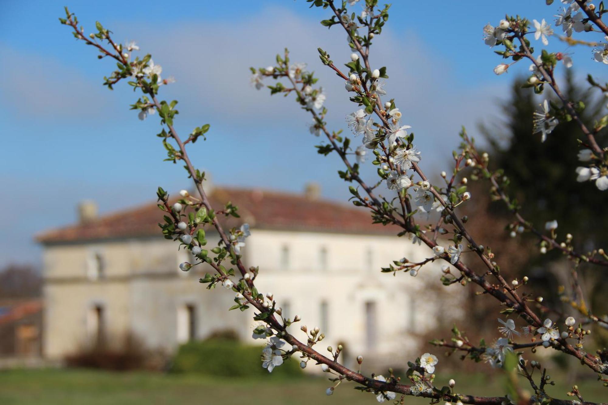 Domaine Terroceane Hotel La-Gripperie-Saint-Symphorien ภายนอก รูปภาพ