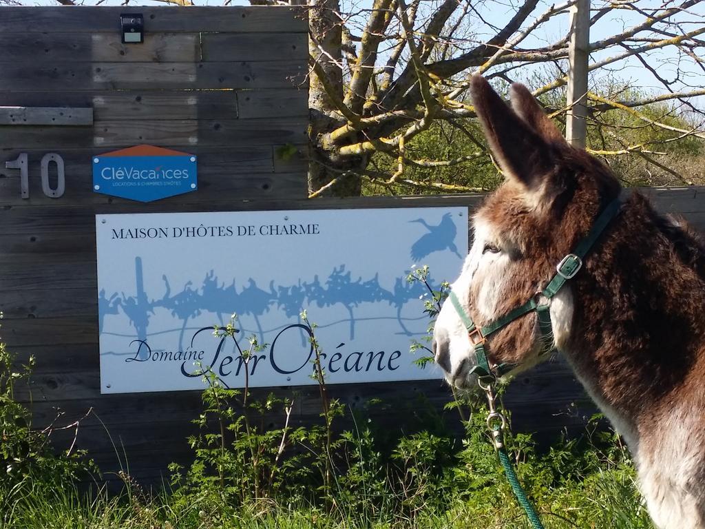 Domaine Terroceane Hotel La-Gripperie-Saint-Symphorien ภายนอก รูปภาพ