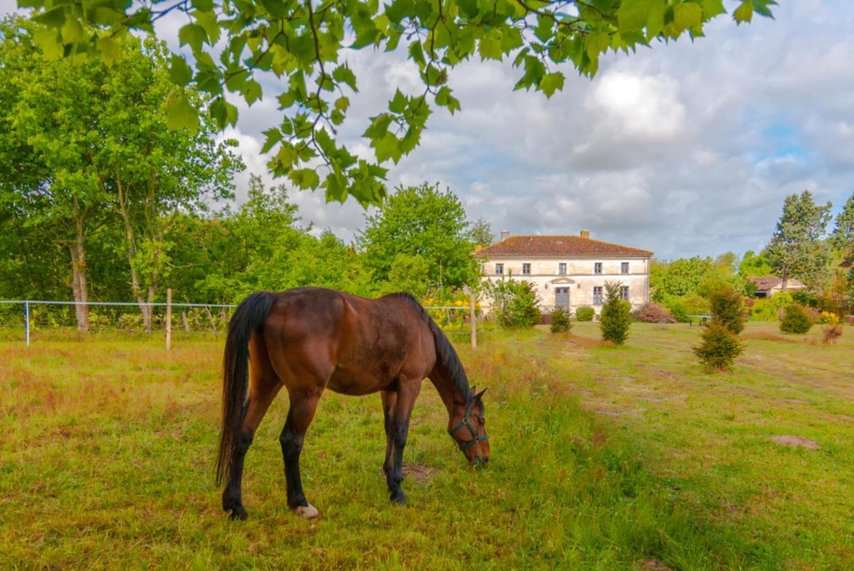 Domaine Terroceane Hotel La-Gripperie-Saint-Symphorien ภายนอก รูปภาพ